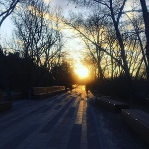 Meet your Posher, Zy